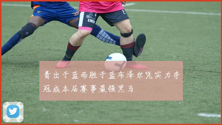 青出于蓝而胜于蓝布泽尔凭实力夺冠成本届赛事最强黑马