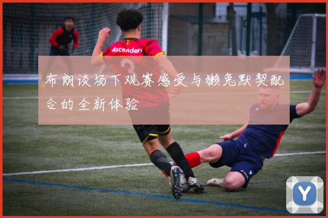 布朗谈场下观赛感受与獭兔默契配合的全新体验