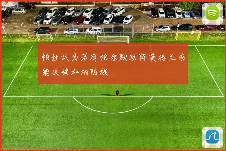 帕杜认为若有帕尔默助阵英格兰或能攻破加纳防线