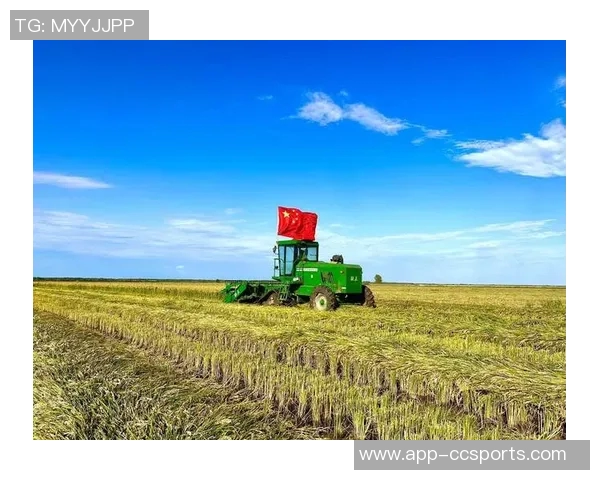 秋风送爽时节训练掠影展现备战不怠的坚定决心与拼搏精神